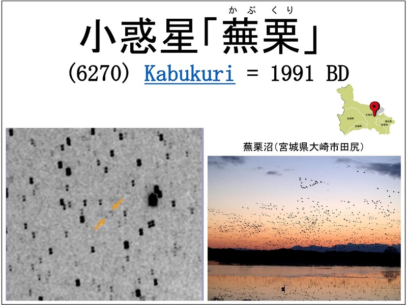 小惑星「蕪栗」