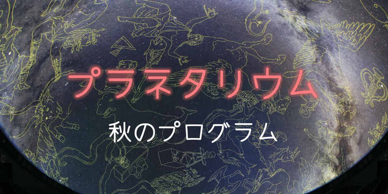 秋のプログラム